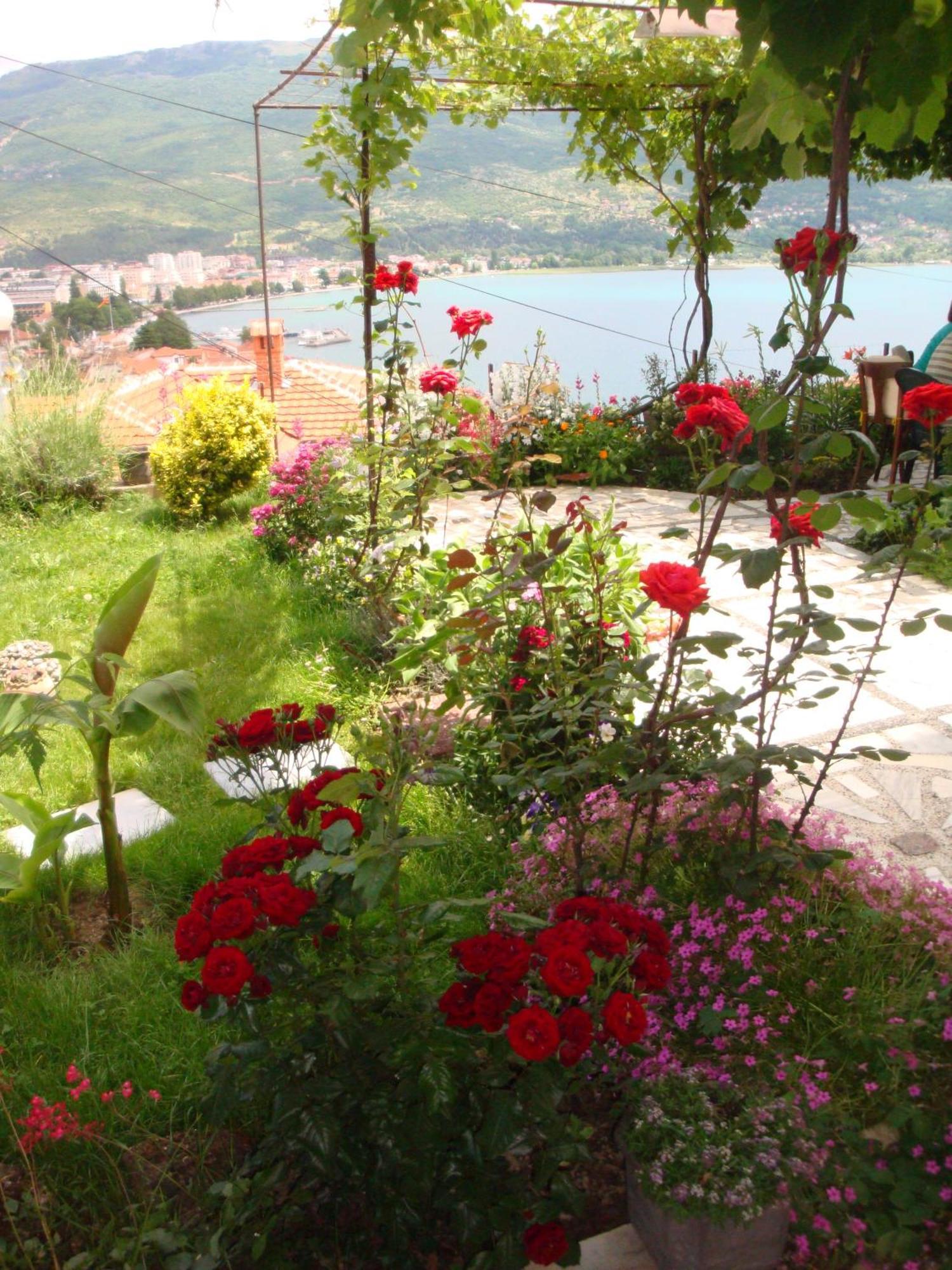Apartments Villa Saray Οχρίδα Εξωτερικό φωτογραφία
